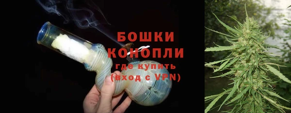 прущие грибы Лиски
