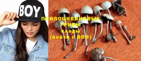 прущая мука Гатчина