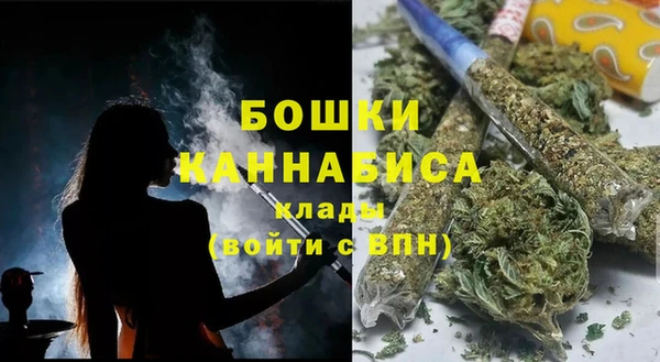прущие грибы Лиски