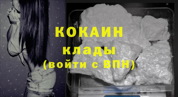 трава Галич