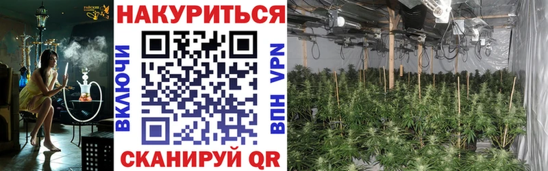 сколько стоит  Мегион  Каннабис ГИДРОПОН 